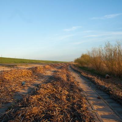 Elbe2
