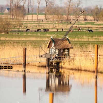 Elbe7