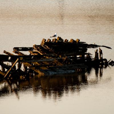 Elbe8
